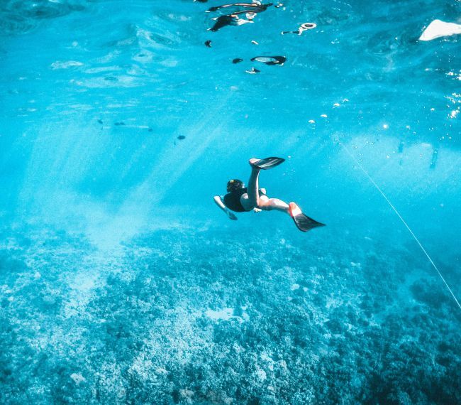 Imagem snorkel